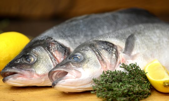 Obrázek 2